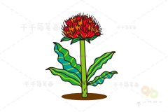 网球花简笔画步骤图