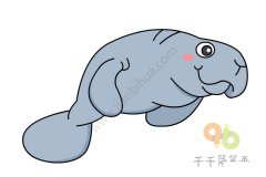 教你画海牛简笔画步骤图