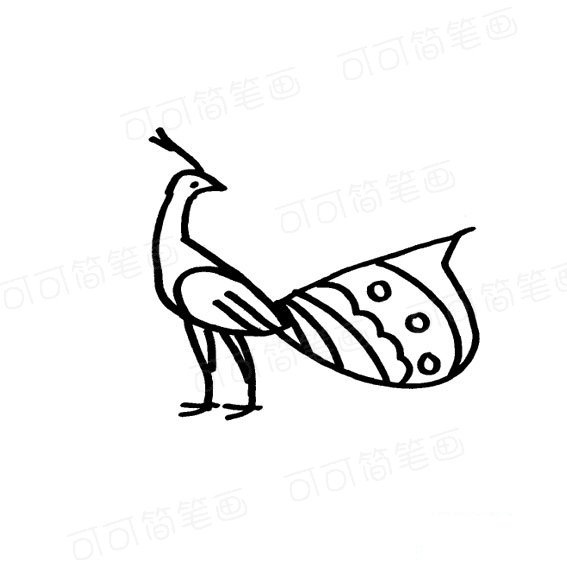 美丽的孔雀简笔画法
