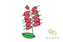 美丽的一串红简笔画画法