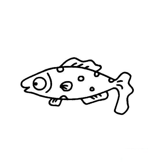 花斑鱼的简笔画法海洋动物