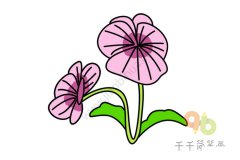美丽的三色堇简笔画图片大全