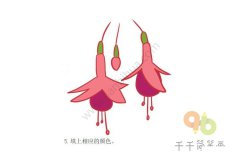 美丽的倒挂金钟简笔画步骤图