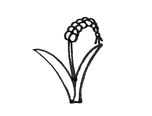学画麦子简笔画