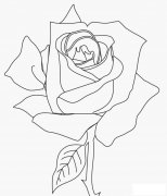 盛开花朵画法