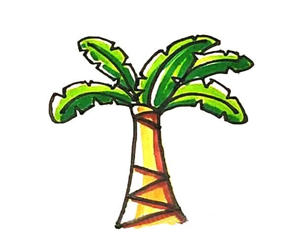 芭蕉树简笔画