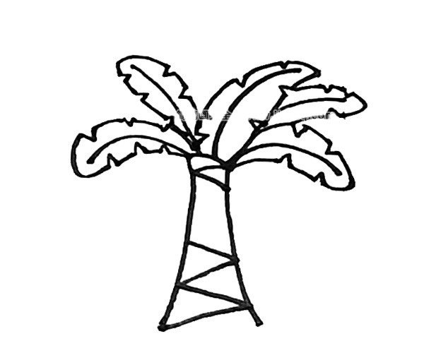 芭蕉树简笔画