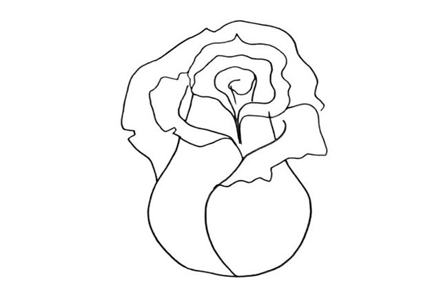 漂亮的粉色玫瑰花简笔画