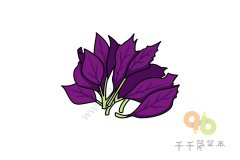 紫背天葵简笔画画法