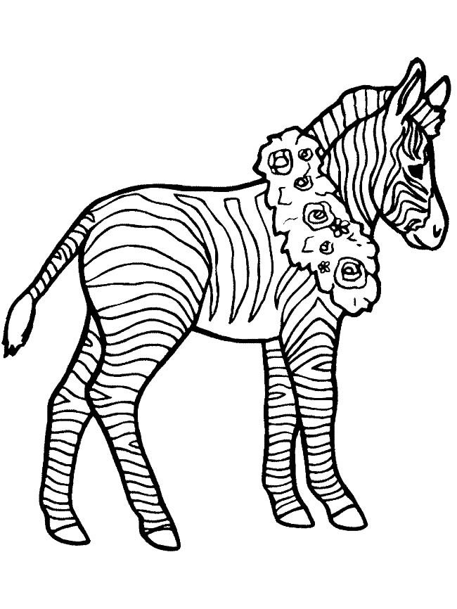 班马动物简笔画步骤图片大全