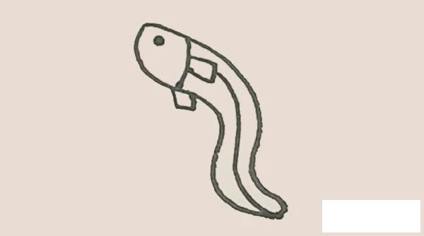 鳗鱼简笔画的画法步骤图