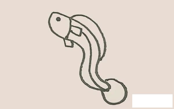 鳗鱼简笔画的画法步骤图