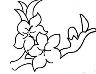 简笔画美丽的桃花的具体画法步骤图片教程