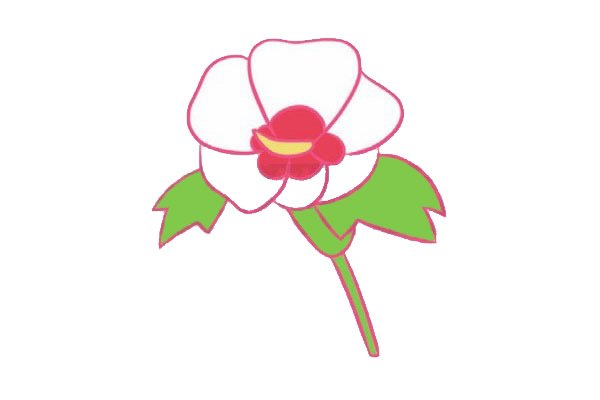 木槿花简笔画图片步骤四