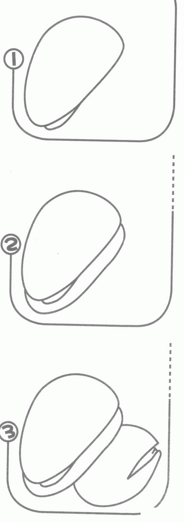 松子简笔画