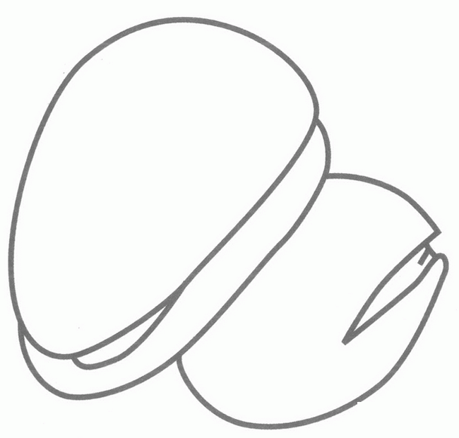 松子简笔画