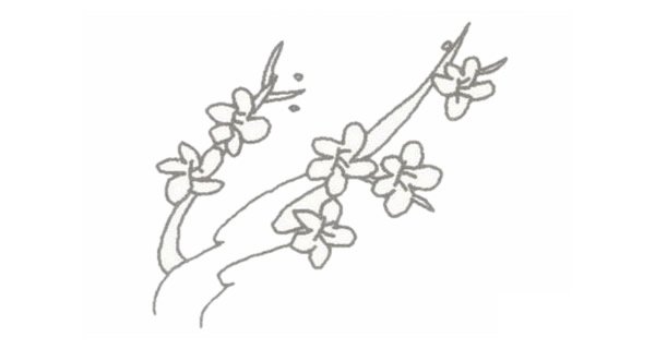 梅花简笔画图片