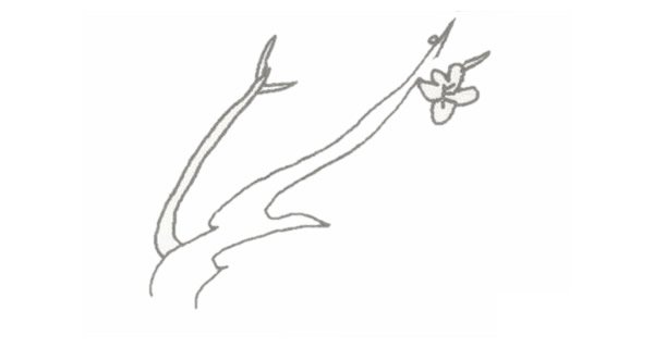 梅花简笔画图片