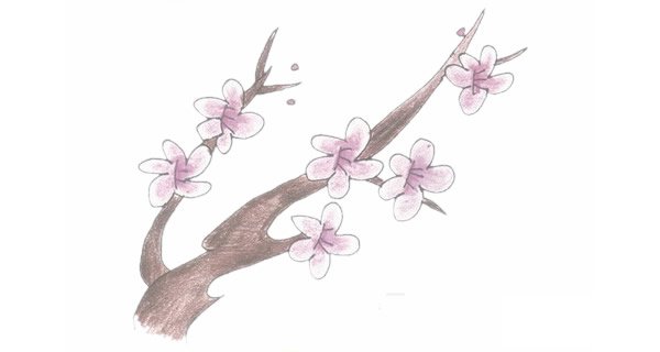 梅花简笔画大图