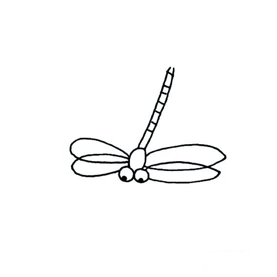 简笔画蜻蜓如何画昆虫类