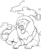 凶猛狮子简笔画图片大全