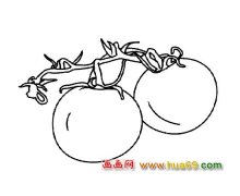 简笔画│好吃的西红柿2