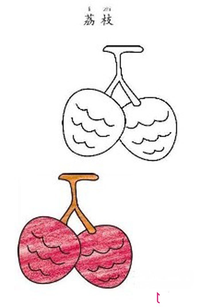 彩铅瓜果蔬菜简笔画，荔枝简笔画