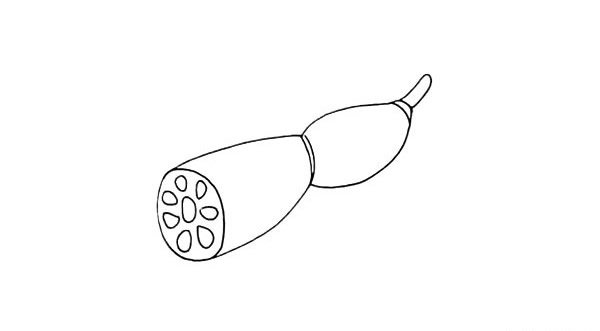 莲藕简笔画