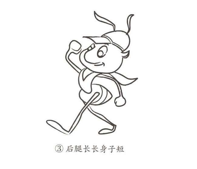 卡通蚂蚁简笔画图片
