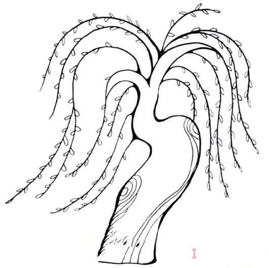 柳树飘扬的画法简笔画教程简单好看