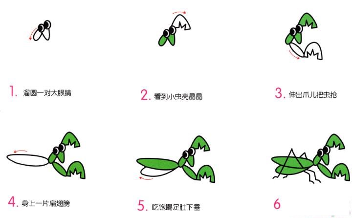 简笔画小螳螂的具体步骤图示