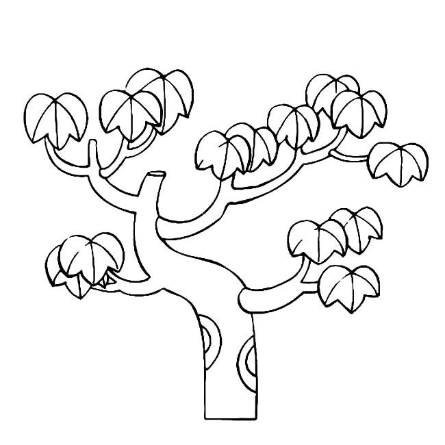 秋天的大树简笔画图片