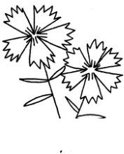 石竹简笔画