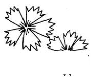 石竹简笔画