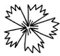 石竹简笔画