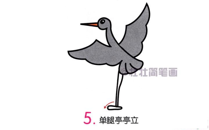灰鹤简笔画画法_怎么画灰鹤的简笔画