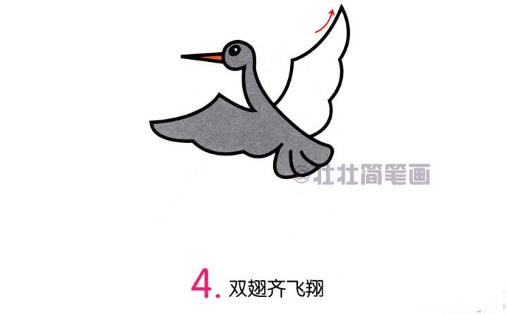灰鹤简笔画画法_怎么画灰鹤的简笔画