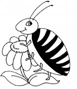 小甲虫简笔画图片