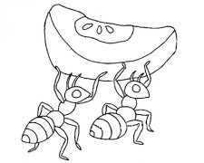 蚂蚁搬食物简笔画图片