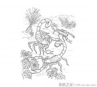 三只蝎子简笔画图片