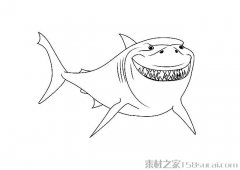 大白鲨简笔画图片