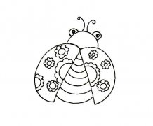 展翅的七星瓢虫简笔画
