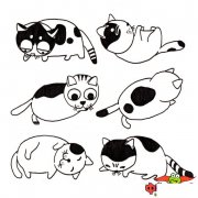 简单又漂亮小猫怎么画，小猫咪简笔画图片大全