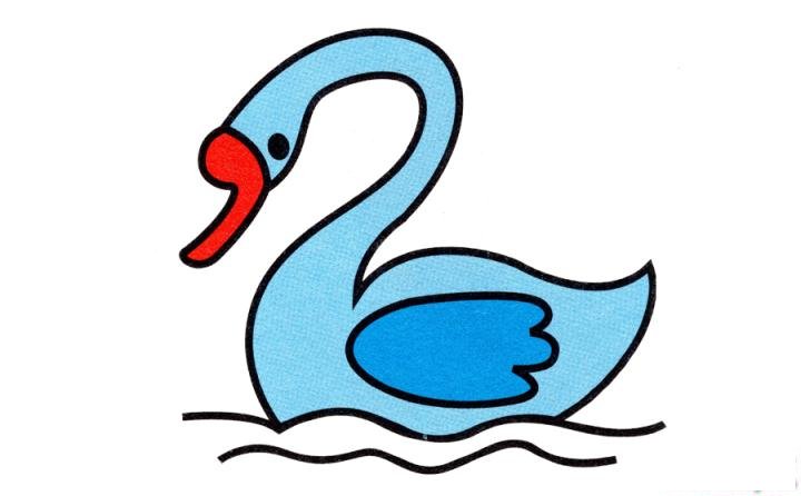 简笔画小天鹅的具体步骤图示