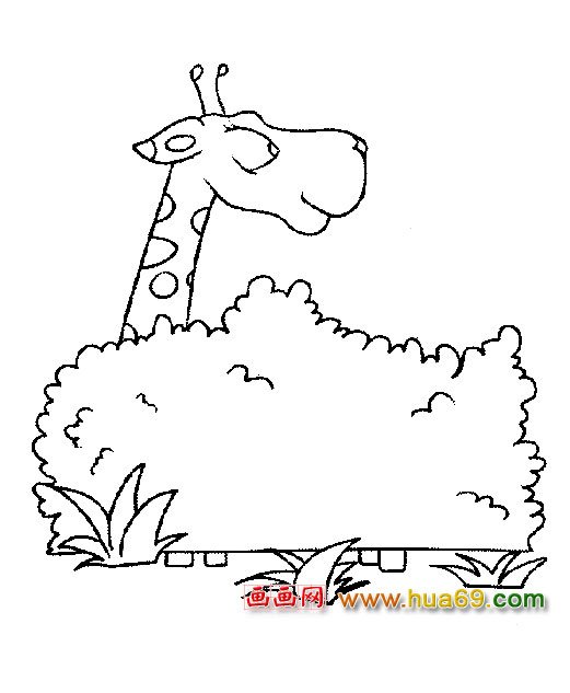 草丛中的长颈鹿简笔画