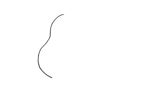 梨的简笔画