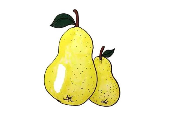 梨的简笔画