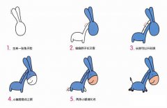 小毛驴的画法简笔画步骤图