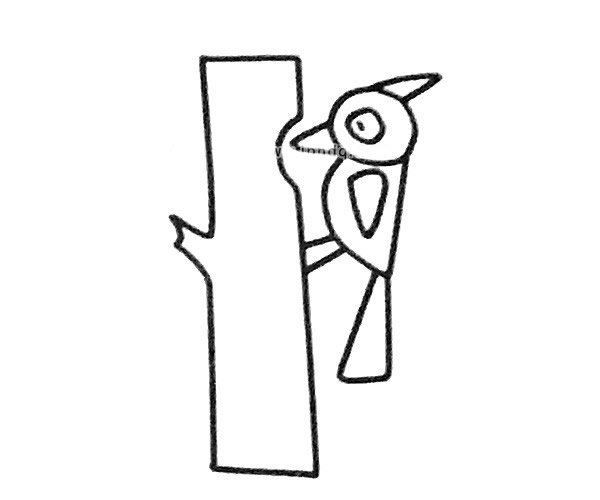 啄木鸟简笔画图片