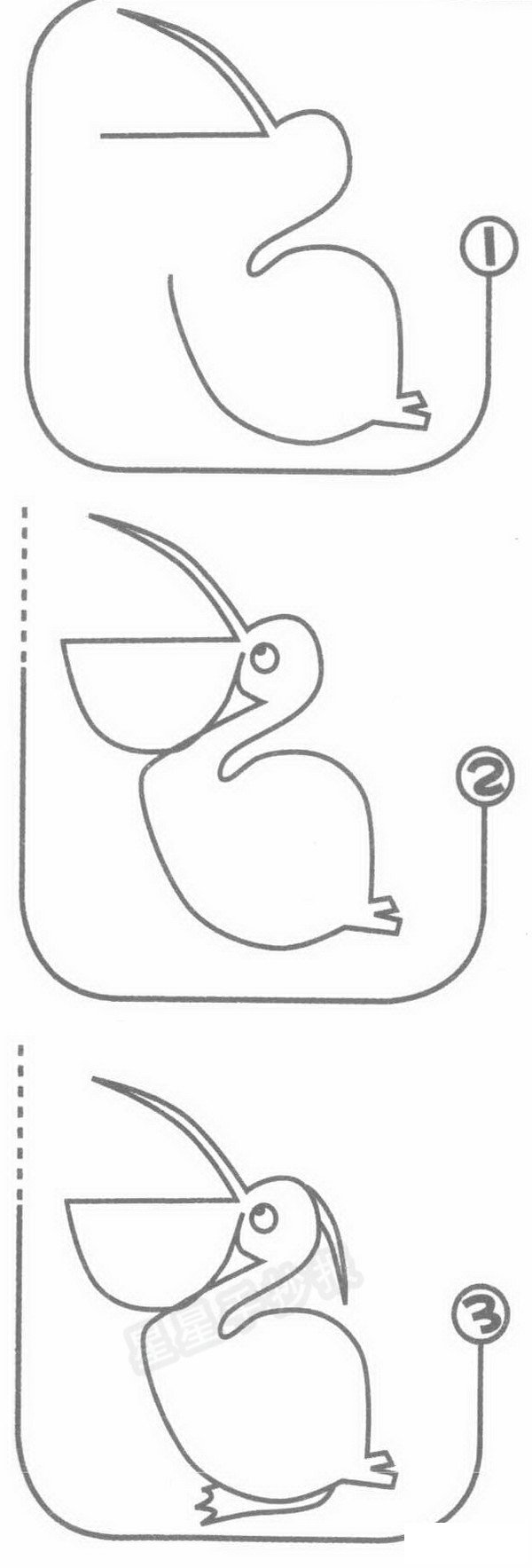 鹈鹕简笔画